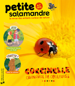 Petite Salamandre, n53 : Coccinelle, carnaval de couleurs ! par Revue Salamandre