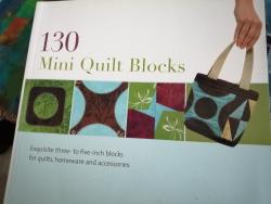 130 Mini Quilt Blocks par Susan Briscoe