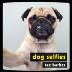 Dog Selfies par Charlie Ellis