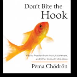 Don't bite the hook par Pema Chdrn
