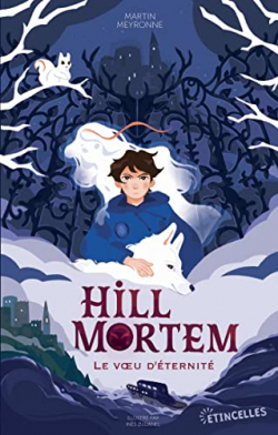 Hill Mortem, le voeu d'ternit par Martin Meyronne