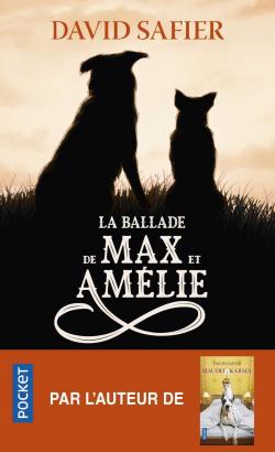 La ballade de Max et Amélie - David Safier - Babelio