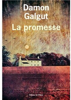 La promesse par Damon Galgut