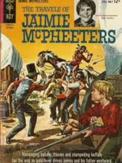 Le Long Voyage de Jaimie Mcpheeters par Robert Lewis Taylor