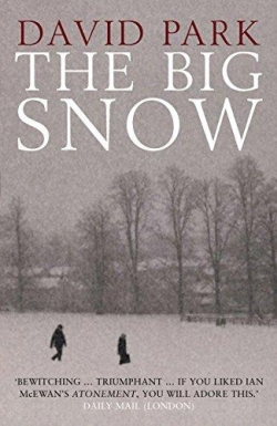 The Big Snow par David Park