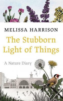 The Stubborn Light of Things par Melissa Harrison