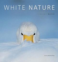 Blanc nature par Vincent Munier