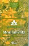 Promenades vertes dans lentit de Morlanwelz par Marre-Muls