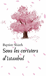 Sous les cerisiers d'Istanbul par Shizeh