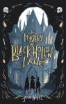 The Mystery of Black Hollow Lane par Nobel