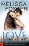 The Remingtons, tome 3 : Flames of love par Foster