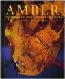 Amber, Window to the Past par Grimaldi