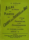 Atlas de poche des plantes des champs, des prairies et des bois par Silain