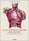 Atlas d'anatomie humaine et de chirurgie : Edition trilingue franais-anglais-allemand par Le Minor