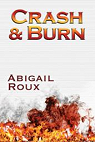 Ty et Zane, tome 9 : Crash & Burn par Roux