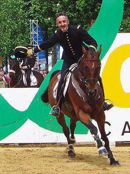 Jean-Luc Force (auteur de Enseigner l'equitation) - Babelio